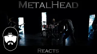 METALHEAD REACTS to "Panta Rhei" by Aephanemer