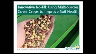 Innovative No-Till: Using Multi-Species Cover Crops to Improve Soil Health