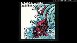 Rivers of Babylon - Sublime and the Melodians