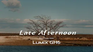 Late Afternoon | Blackmagic RAW | LUMIX GH6