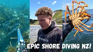 2 days Shore Diving NZ | Spearfishing Catch Cook!