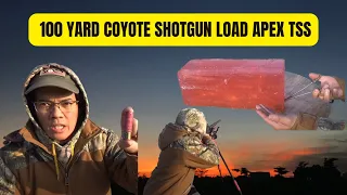 100 Yard Coyote Shotgun Load Apex TSS Ammo 12 Gauge | Part 1