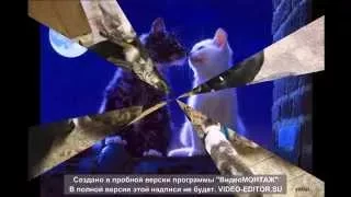 Машина времени "кошка гуляет сама по себе"    music, cats.