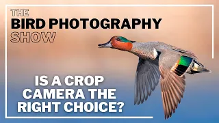 Is a CROP Camera The RIGHT Choice? | Canon R7 & Others In The Field | GIVEAWAY!