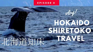 【知床vlog】マッコウクジラ、ヒグマ、大自然を撮りに知床へ‼︎ episode 0-SHIRETOKO Cinematic travel film 【4K】