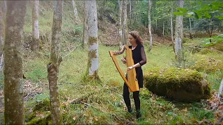 Celtic Harp Duo "Passed Too Soon" // Nadia Birkenstock (keltische Harfe)