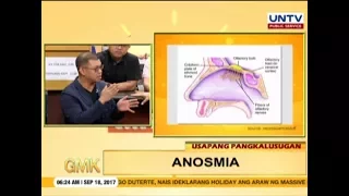 Anosmia : Loss of smell | Usapang Pangkalusugan