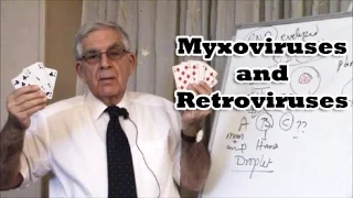 Myxoviruses and Retroviruses