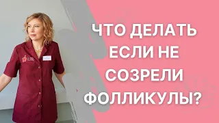 В яичниках не созрели  фолликулы - почему и что делать?