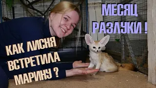 Встреча с Лиснёй после МЕСЯЦА разлуки!