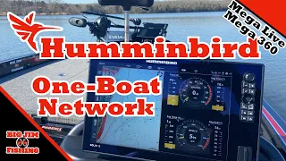 My Humminbird Network !!!