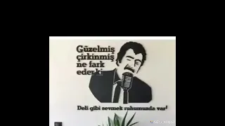 güzelmiş çirkinmiş ne farkeder deli gibi sevmek adam gibi sevmek ruhumuzda var