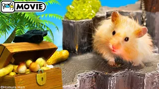 Hamster Pirate - Movie 🏴‍☠️ Hamsters of the Caribbean 🏴‍☠️ Homura Ham Pets