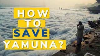 What makes Yamuna the most polluted river in India? l Solutions to clean Yamuna l The Newsbun