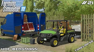 Selling VEGETABLES grown in our ALLOTMENT GARDEN | Hof Bergmann | Farming Simulator 22 | Episode 21