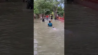 #vrindavan #iskcon #radhakrishna #flood #harigaurvlog