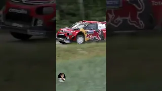 Rally Car FULL SEND!!!! All Gas No Brake!!! #viral #car #rally #racing #shorts