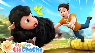 Bee Bee Oveja Negra | Baa Baa Black Sheep | LiaChaCha en Español - Canciones Infantiles