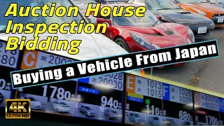 Buying a Vehicle from Japan! Auction House, Inspection, Bidding #cars #japan #jdm #guam