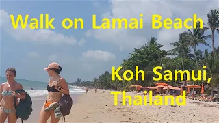 A 25 minute walk on Lamai Beach: Soak Up the Sun and Scenery on Koh Samui | Thailand 2023