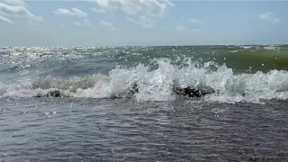 Океан, Чайки, Парусник, Все Самое Интересное и Красивое Осенью/ Ocean, Seagulls, Most Beautiful.