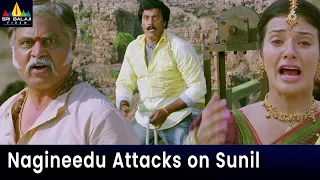 Nagineedu Attacks on Sunil | Saloni Aswani | Maryada Ramanna Movie Action Scenes @SriBalajiAction