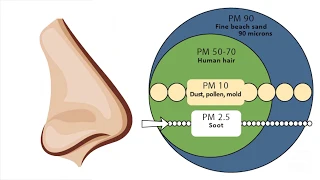 Particulate matter? Here's what it is and how to avoid it