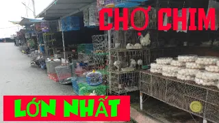 CHỢ BÁN ĐỘNG VẬT HOANG DÃ  LỚN NHẤT ĐỒNG BẰNG NAM BỘ