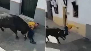 Spanish man dies after joining bull running festival