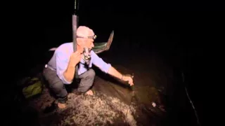 Discovery Ch River Monsters Series 3 07of10 Jungle Killer DVDrip x264 AAC MVGroup org clip0