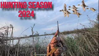 Pintail Duck |Hunting Season 2024|🦆#ducks #viral #trending #fishing #murghabi #2024 #foryou