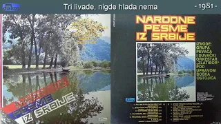 Grupa Zlatibor - Narodne pesme iz Srbije - (Audio 1981) - CEO ALBUM