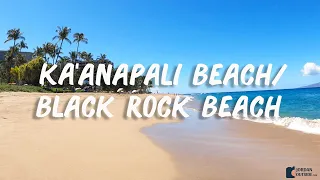 Best Snorkeling at Ka'anapali Beach and Black Rock Beach in Maui, Hawaii