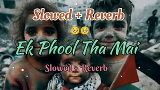 Ek Phool Tha Mai (Slowe + Reverb) Popular philistine Naat | New Video