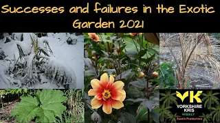 Successes and failures in the Exotic Garden 2021
