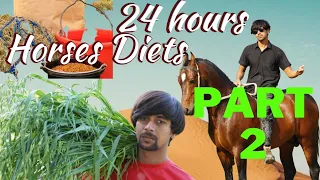 Part 2 horse Diet 24 hour's | horse best Diets | best diets for summer season