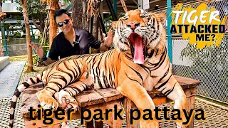 TIGER PARK PATTAYA 2023 | GUIDE, COST & DETAILS | THAILAND VLOG 5 | THINGS TO DO IN PATTAYA
