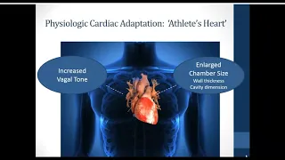 ECG Interpretation in Athletes | AMSSM MSIG Webinar