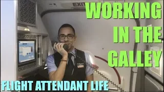 FLIGHT ATTENDANT LIFE | WORKING IN THE GALLEY