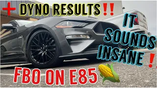 E85 Ford Mustang GT 10 Speed DYNO TUNE RESULTS!