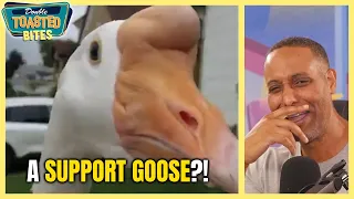 WOMAN FIGHTS TO KEEP HER SUPPORT GOOSE! | Double Toasted Bites