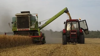 Żniwa 2015 - Claas Dominator 76, 2x Case 845 xl || Lubelskie