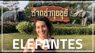 16 - Elefantes libres en Tailandia y nos bañamos en una base militar | Tailandia