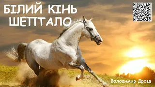 Білий кінь Шептало. Володимир Дрозд