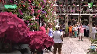 Festival de los Patios, Córdoba