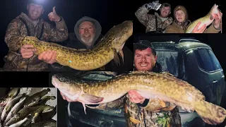 How To Pier And Harbor Fish For Burbot Fresh Water Cod American Eelpout And Lake Trout! Bottom Rig!