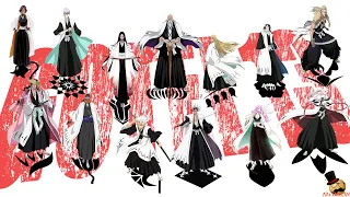 Bleach: The gotei 13 members:All captains and lieutenants