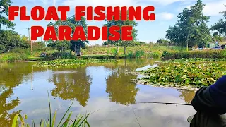 K's Lakes for Tench : Looks like Float fishing paradise