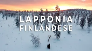 LAPPONIA FINLANDESE: Rovaniemi, Husky safari e aurora boreale 🇫🇮🎅🏻🐺💚