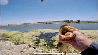 Delta Mendota Canal (DMC) fishing